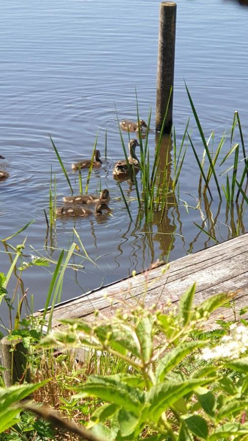 Buiten Huisje Aan De Vaart 1 Matsloot Ngoại thất bức ảnh